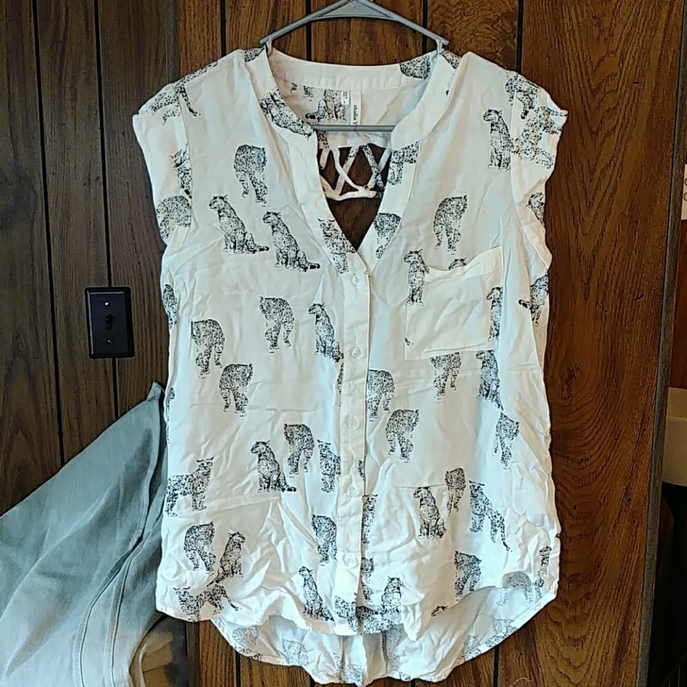 Studio Y (Maurices) Dress Shirt